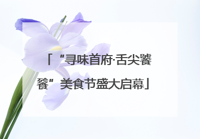 “寻味首府·舌尖饕餮”美食节盛大启幕